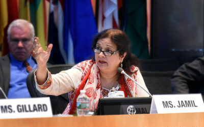 Commissioner Baela Raza Jamil: “A call to action I cannot refuse”